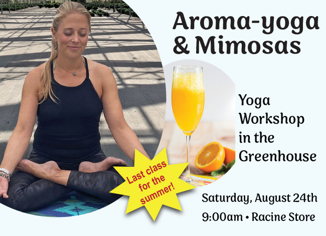 Aroma-yoga banner