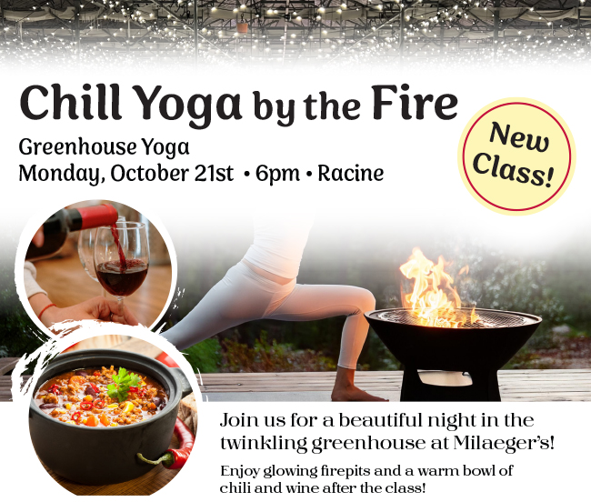 Chill Yoga by the Fire banner