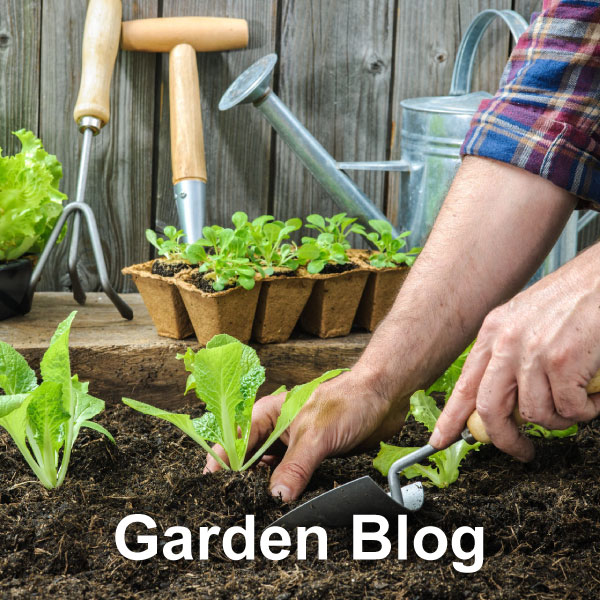 Garden Blog button