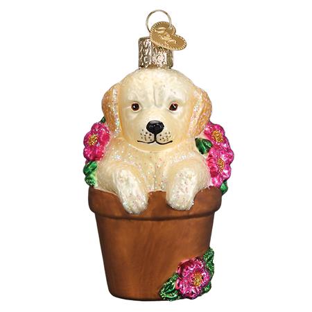 Puppy in a Flower Pot