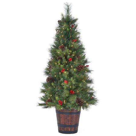 Forest Berry Fir Tree Potted - 5' - Clear LED
