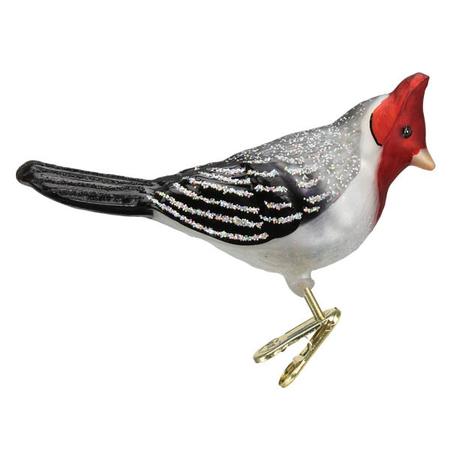 Old Red-crested Cardinal