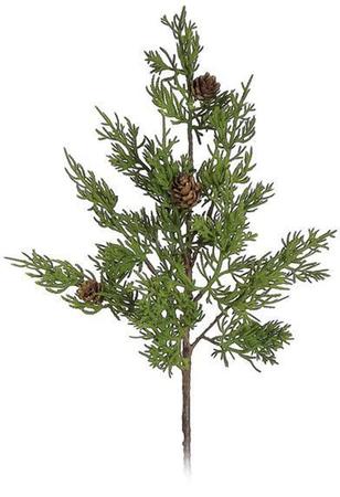 Cypress with Cone Spray