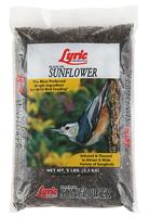 Lyric Black Oil Sunflower - 5 lb.