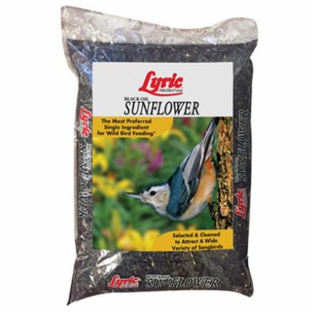 Lyric Black Oil Sunflower - 10 lb.