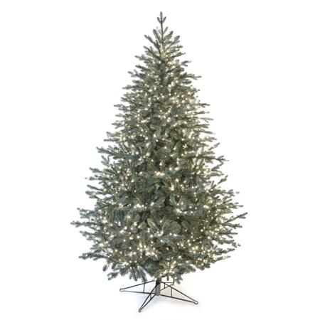 Colorado Blue Pine - 7.5' - Unlit