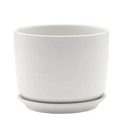 Large Matte White Cylinder Pot with Saucer