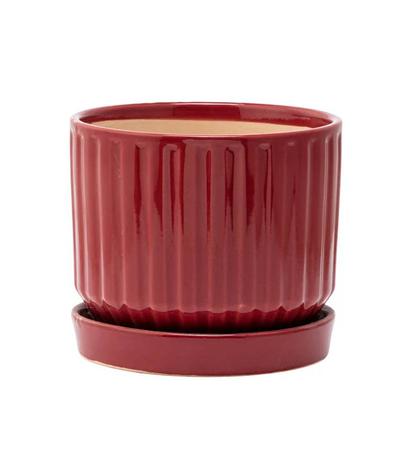 Small Burgundy Ribbed Planter with Saucer