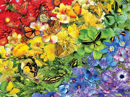Rainbow Butterflies 1000pc Puzzle