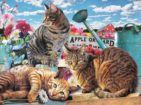 Apple Orchard 300pc Puzzle