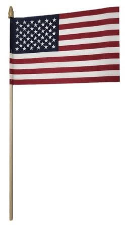 American Flag with Gold Spear - 8