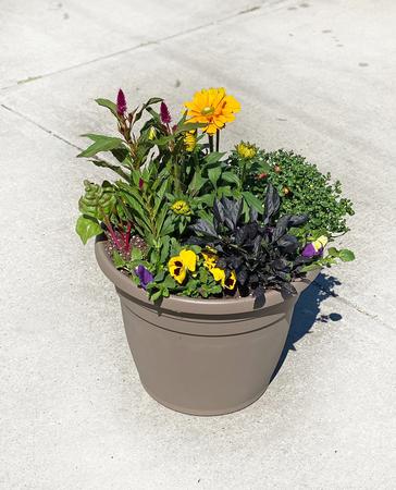 Fall Porch Pot Workshop Sturtevant 9/24