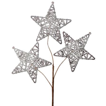 Frosted Triple Twig Star Spray 22