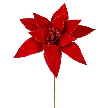 Velvet Glitter Edge Poinsettia Stem 24