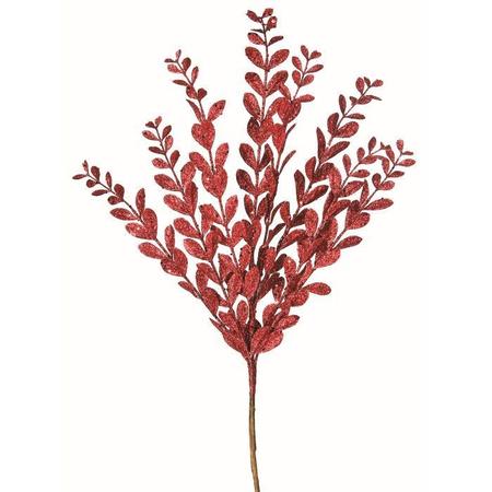 Glitter Pittisporum Spray Red 22