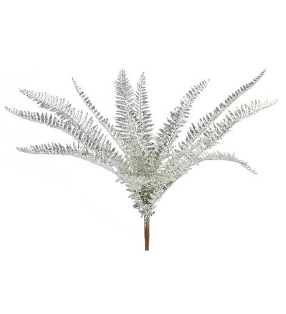 Silver Sparkling Fern Bush 20.5