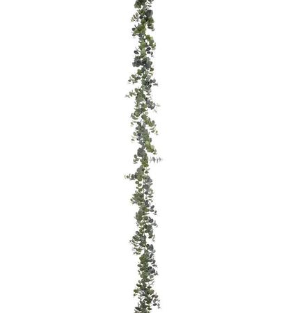 White Wash Eucalyptus Garland 72