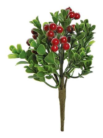 Boxwood & Berry Pick Red 8