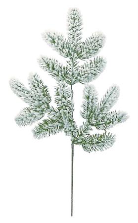 Snowy Noble Fir Spray 21