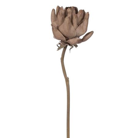 Protea Stem Light Brown - 21.5