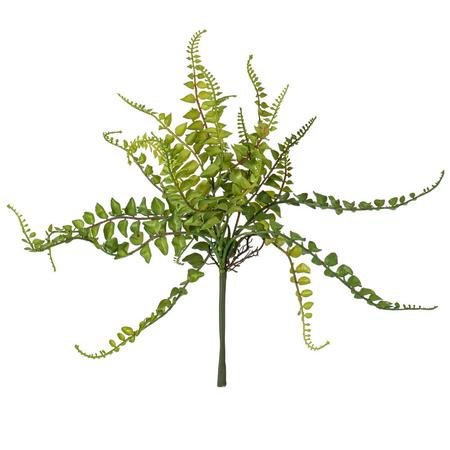 Fern Spray Green - 16