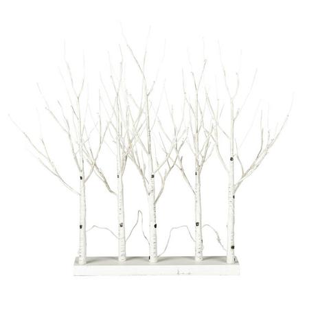 White Birch Grove Warm White LED 30