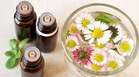 New Year, New You! Essential Oils Workshop 1/27