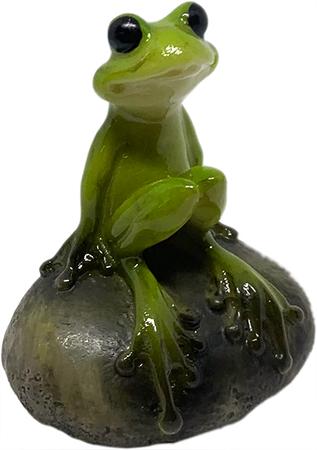 Frog on Stone